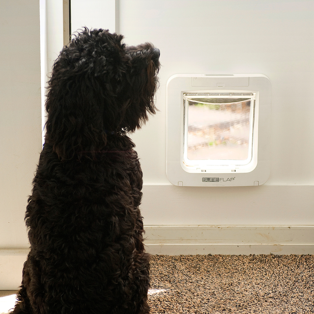 SureFlap Microchip Pet Door White