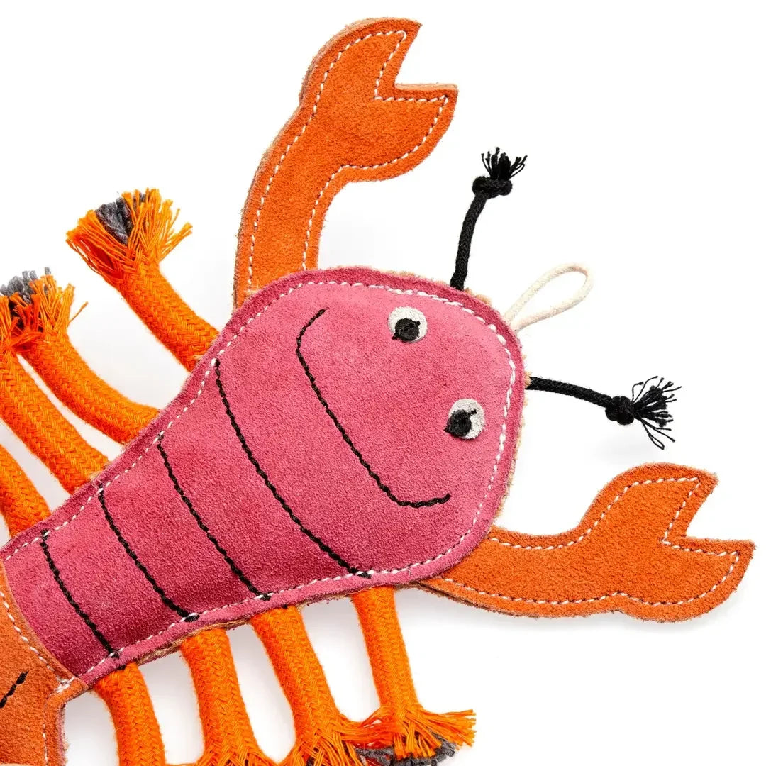 Larry the Lobster Eco Dog Toy